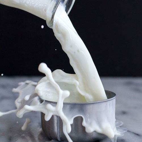 Preserving Perfection: The Cutting-Edge Science Behind Theproficientglobal’ Fresh Dairy Products”